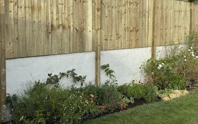 Garden Wall vs Fence: Which Is Best for Your Plymouth Property?